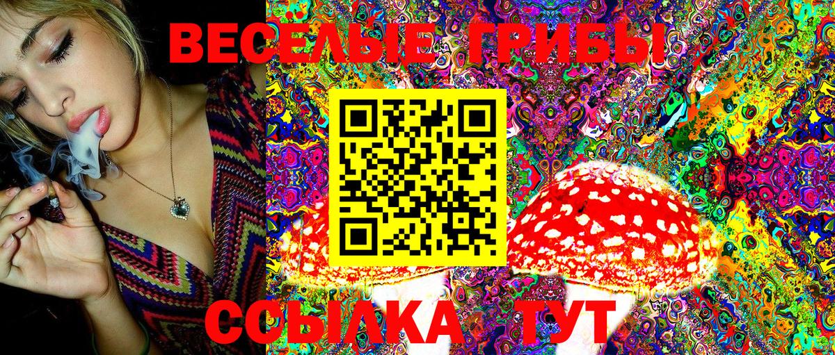 Псилоцибиновые грибы Psilocybe  Вход с VPN  Городец 