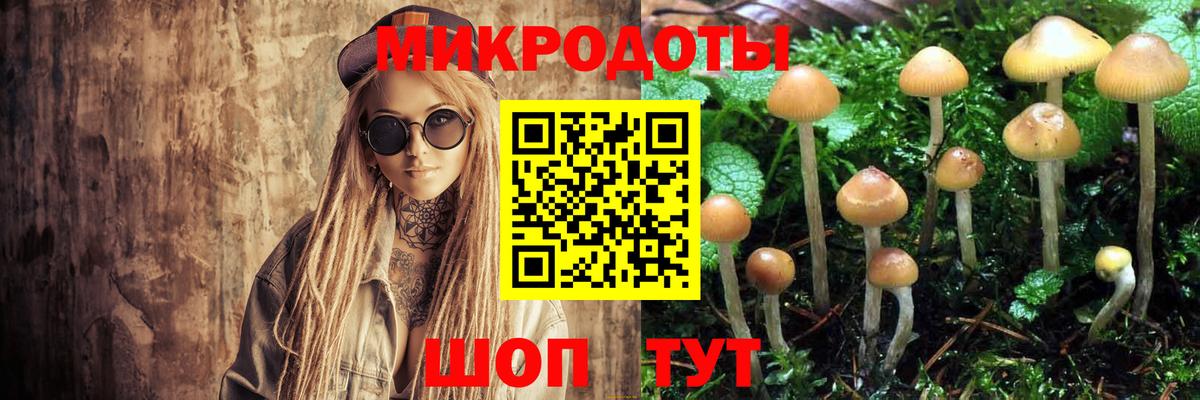 Псилоцибиновые грибы MAGIC MUSHROOMS Городец